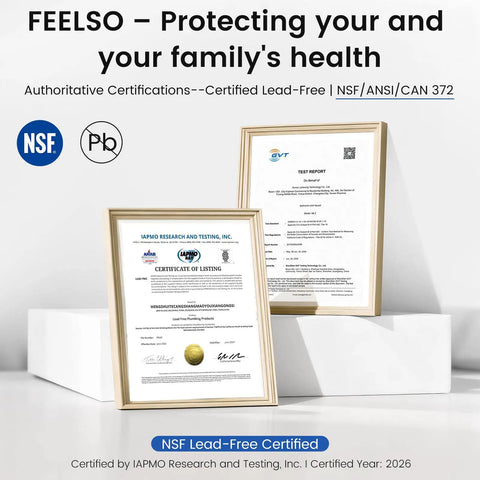 NSF certification documents for LEAD-FREE standards, showcasing certifications for health protection, in a clean display.