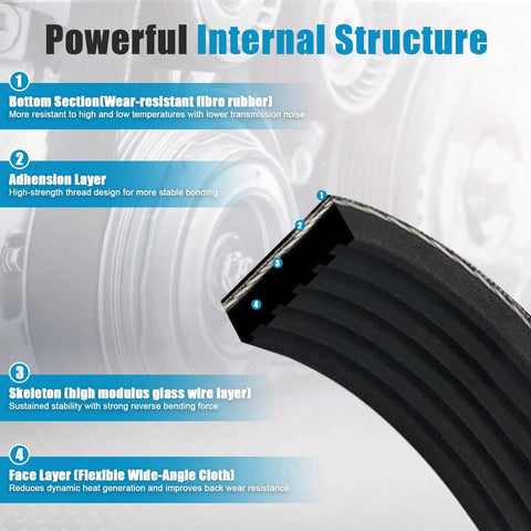 Premium 6PK2243 Serpentine Drive Belt For Dodge Durango Ram Tundra And Toyota Land Cruiser, showing internal structure details and materials.