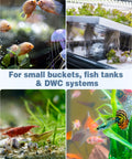 Collage of aquatic life with Air Stone Aquarium 1 Inch Cylinder Bubble Diffuser For Nano Pumps And Small Tanks in use