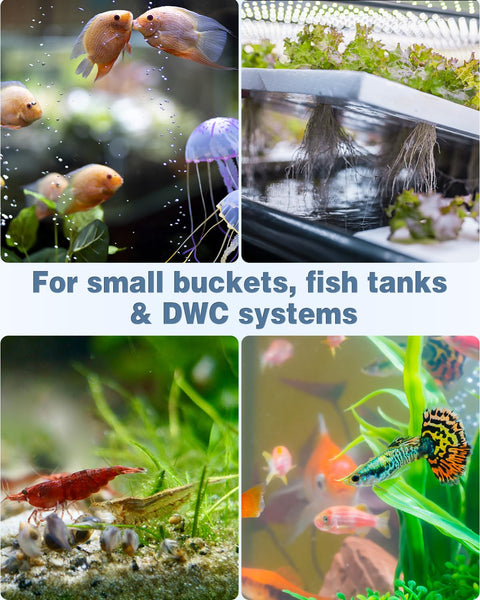 Collage of aquatic life with Air Stone Aquarium 1 Inch Cylinder Bubble Diffuser For Nano Pumps And Small Tanks in use