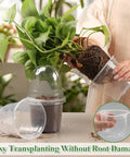 Person transplanting plant using Clear Nursery Pots With Humidity Domes For Seedlings, 4 Inch Plastic Plant Pots With Drainage Holes