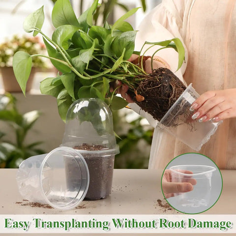 Person transplanting plant using Clear Nursery Pots With Humidity Domes For Seedlings, 4 Inch Plastic Plant Pots With Drainage Holes
