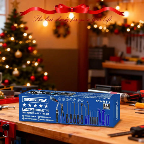 Rugged 17 Piece Pick And Hook Tool Set With Magnetic Pickup Bar Hella Tough Carbon Steel Auto Repair Kit displayed on a workbench.