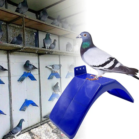 Lightweight Pigeon Perches 10 Pack For Loft Doves And Homers Easy Install Plastic Bird Rest Stands With Smooth Surfaces Durable
