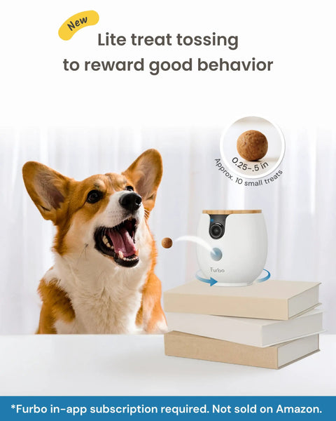 Dog using Mini 360 Degree Pet Camera with treat toss feature for rewarding good behavior