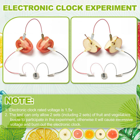 24 Fruit Battery Science Kit With Clock For Home Classroom Learning Power Up Physics Experiments With Lemons Oranges Potatoes Includes Copper And Zinc Plates Wires LEDs And Timers Kid Friendly. electronic clock experiment with fruit halves, clips, wires, and clock