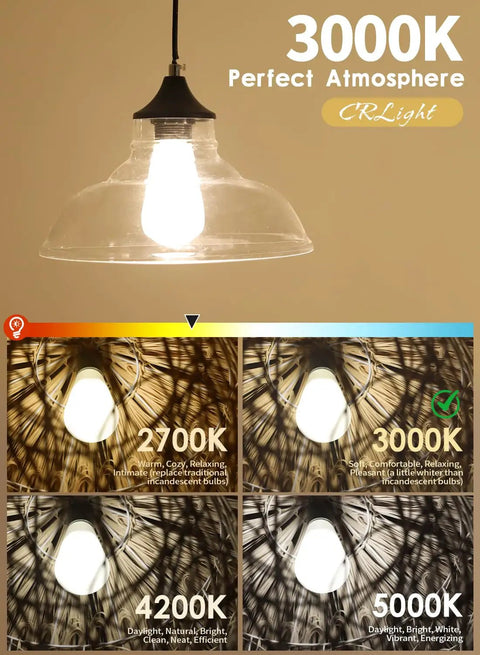 Pendant light with Dimmable 8W Edison LED Bulb 3000K Soft White With Classic Homey Glow 70W Equivalent 700 Lumens E26 Base