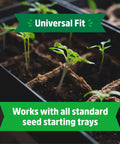 Grow Kit Refill Pack For Eco Friendly Seed Starting With Biodegradable Peat Free Trays Glue Free And Chemical Free Root Health