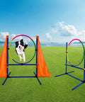 Dog jumping through hoop in All In One Dog Agility Training Kit With Jump Bar Hurdle Blind Tunnel Standard Tunnel Weave Poles