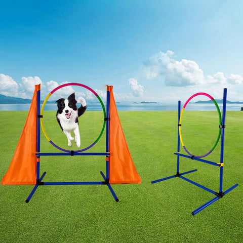 Dog jumping through hoop in All In One Dog Agility Training Kit With Jump Bar Hurdle Blind Tunnel Standard Tunnel Weave Poles