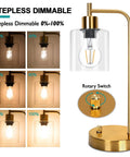 Golden Industrial Table Lamp With Two USB Ports And Glass Shade Vintage Desk Light Stepless Dimmable Bedside Reading Lamp LED Nightstand