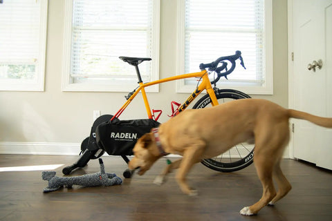 Indoor Bike Trainer Chain Cover And Drivetrain Guard Padded Chainstay Shield for Storage or Travel, protecting bike, dog nearby.
