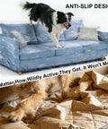Dog on sofa with Clear Heavy Duty Plastic Couch Cover For Pets, Waterproof Scratch Proof Protector, Non Slip Sofa Slipcover