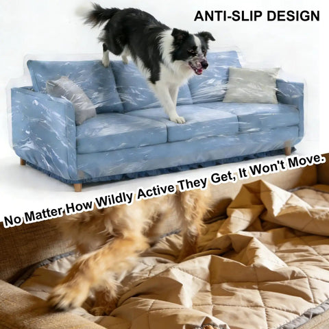 Dog on sofa with Clear Heavy Duty Plastic Couch Cover For Pets, Waterproof Scratch Proof Protector, Non Slip Sofa Slipcover