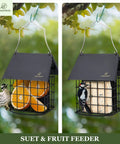 Double Suet Bird Feeder with Weatherproof Roof holding suet and fruit, showing rust-resistant black metal cage in outdoor setting