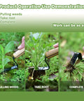 Stainless Steel Hand Weeder Tool With Wood Handle Garden Weed Puller demonstrating weed removal process in steps.