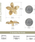 8 Pack 2.4 Inch Brushed Gold Flower Cabinet Knobs With Three Screw Sizes, showing size comparison to coins and screws
