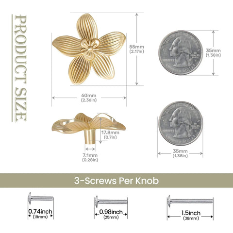 8 Pack 2.4 Inch Brushed Gold Flower Cabinet Knobs With Three Screw Sizes, showing size comparison to coins and screws