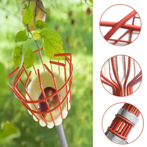 8 Foot Fruit Picker With Basket And Adjustable Stainless Steel Handle Lightweight Tree Fruit Grabber For Apple Mango Avocado Orange Lemon Easy Assembly No Ladder Needed For Tall Trees with foam-padded basket picking fruit.