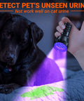 UV Blacklight Flashlight With 21 LEDs 395nm For Pet Urine Detection And Scorpion Hunting, handheld near dog detecting urine
