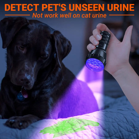 UV Blacklight Flashlight With 21 LEDs 395nm For Pet Urine Detection And Scorpion Hunting, handheld near dog detecting urine