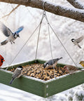 Platform Bird Feeder With Wooden Tray For Outdoor Gardens And Courtyards Hanging Bird Feeder Tray in use with birds feeding