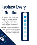 Big Blue Whole House Water Filter Cartridge for Iron Reduction 10 Inch by 4.5 Inch graphic with replacement advice