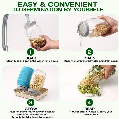 Steps to use All In One Sprouting Jar Kit With 2 Wide Mouth Mason Jars Mesh Lids Blackout Sleeves Stand And Tray For Easy Home Sprouting