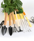 All In One Bonsai Tools Set For Beginners And Hobbyists, 9 Piece Mini Garden Kit With Pruning Shears, Mini Rake, and Tweezers