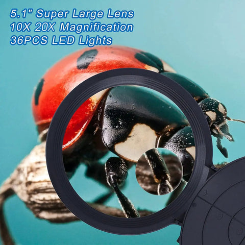 Top Notch LED Magnifier With Light And Stand, 10X And 20X HD Lenses showing a magnified close-up of a ladybug