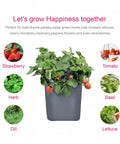 4 Bucket Hydroponics Kit With Air Pump And Germination Tray, DWC System, basil, dill, lettuce in a white pot