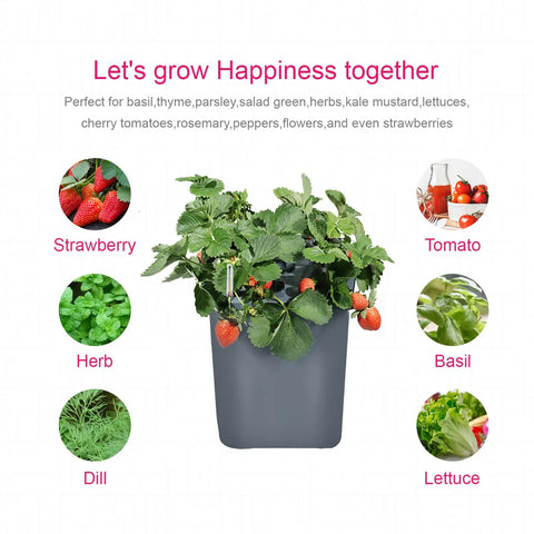 4 Bucket Hydroponics Kit With Air Pump And Germination Tray, DWC System, basil, dill, lettuce in a white pot