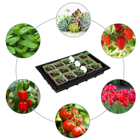 All In One Seed Starter Kit With Peat Pots 4 Pack Seed Starter Trays surrounded by images of plants and vegetables for germination