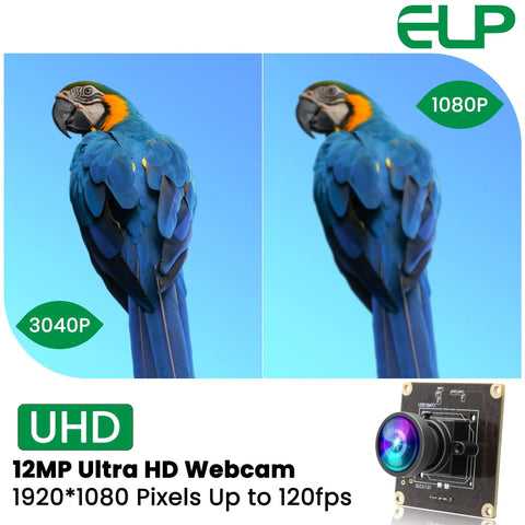 Comparison of parrot image quality at 3040P vs 1080P with 12MP camera module, showing a 1080P 120FPS USB Camera Module For Your Computer Setup With 12MP IMX577 Sensor 100 Degree Wide Angle Low Distortion Lens 3840x3040 High Resolution UVC USB High Speed PC Camera Board For Laptop And Desktop Plug And Play Ready