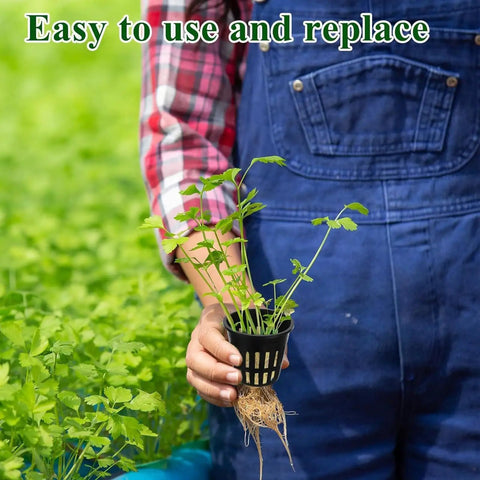 Person holding Hydroponic Net Pot Kit For Veggies And Fruits Tough Mesh Cups With Even Moisture Easy Setup Solid Build For Gardeners