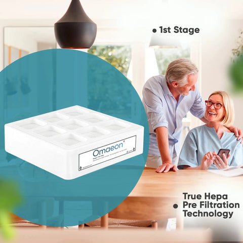 Pre Filter Replacement For IQAir Pre Max F1 And HealthPro Series F8 S Advanced Pre Filtration Captures 90 Percent Of 0.3 Micron Particles Easy Install Durable Design Compatible With IQAir Clean Air Systems displayed in a furnished room