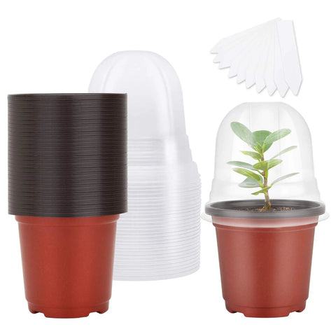 4 Inch Transparent Plastic Seed Starter Pots With Humidity Dome For Germination And Moisture Control Plant Nursery Trays With 10 Plant Labels Including 30 Sets Of Cups And Trays For Seedlings in use with a seedling inside.