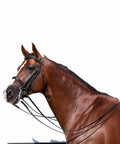 Double Bridle With Reins In Black For Warmbloods, Show Ring Ready, Traditional Style With Raised Padded Cavesson Noseband