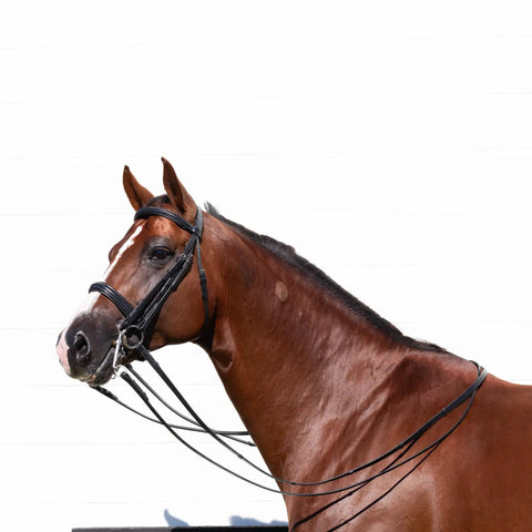 Double Bridle With Reins In Black For Warmbloods, Show Ring Ready, Traditional Style With Raised Padded Cavesson Noseband