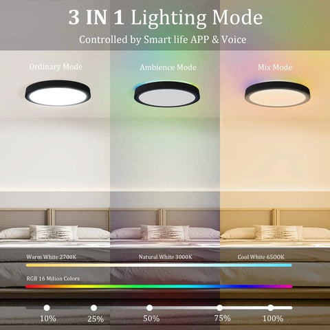12 Inch WiFi Smart LED Ceiling Light Dimmable 2700K To 6500K And RGB Mood Lighting For Porch Flush Mount 3 in 1 Modes Display
