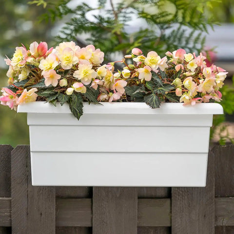Countryside Rail Planter For 3.5 To 5.5 Inch Railings, White 24-Inch Lightweight Space-Saving Planter Made From Fade-Resistant Plastic