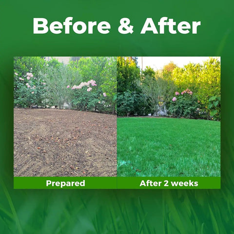 Biodegradable Grass Seed Mat Roll For Lawns And Shade, 100 Sq Ft Green Year Round, Seed And Mulch In One, Easy Roll Out Lawn Solution For Dog Patches, No Fake Grass, Just Water And Grow