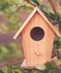 Wooden birdhouse nestled in green foliage, showcasing a circular entrance and pointed roof design.