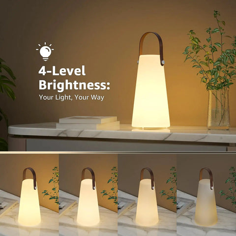 Two Pack Rechargeable Outdoor Lanterns With IP44 Waterproof Cordless Portable Hanging And Table Lamps displayed on table