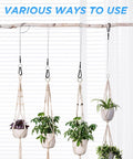 2 Pack Hanging Straps With Carabiner Hook 8 Inch Hanging Chain Cable Rope suspending planters on a branch indoors.