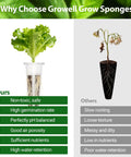 Comparison of Growell grow sponges versus others, showing healthy lettuce growth with features like high germination rate and nutrient retention.