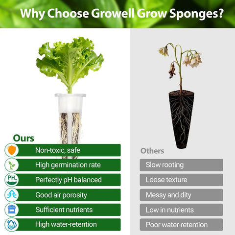 Comparison of Growell grow sponges versus others, showing healthy lettuce growth with features like high germination rate and nutrient retention.