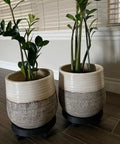 Heavy Duty Plant Caddy With Ultra Smooth Rollers, 14 Inch Round Planter Saucer, plants in decorative pots on rolling base.