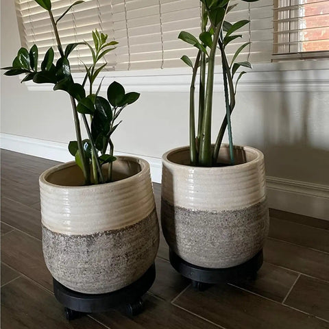 Heavy Duty Plant Caddy With Ultra Smooth Rollers, 14 Inch Round Planter Saucer, plants in decorative pots on rolling base.