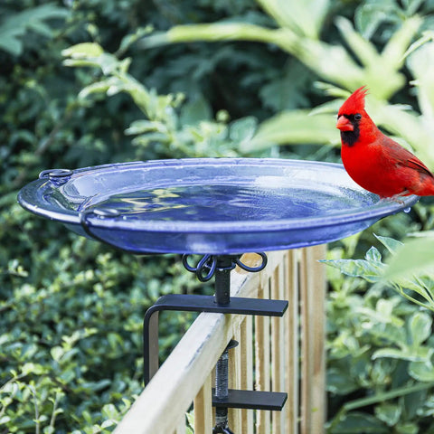 Heavy Duty Deck Mounted Glass Bird Bath With Secure Adjustable Clamp For Garden Railing Patio Fence Or Window Ledge Backyard Wildlife Drinking Fountain with cardinal